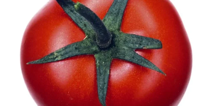 Pomodori alla Calabrese