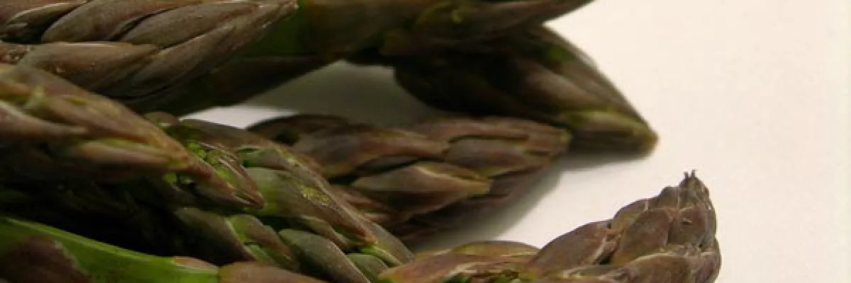 Mousse di Asparagi