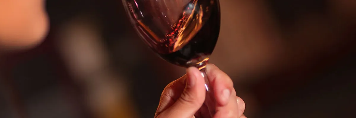 Glossario di degustazione del Vino