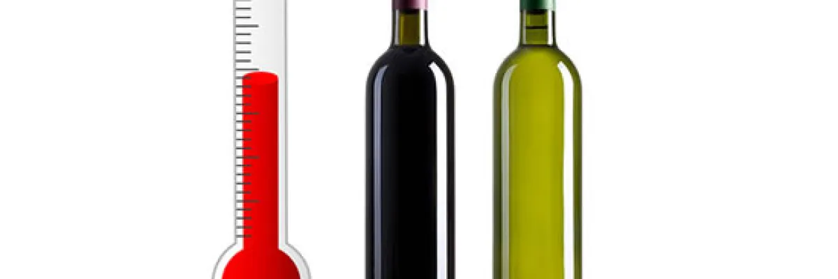 Temperatura di servizio nel Vino