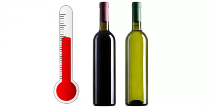 Temperatura di servizio nel Vino