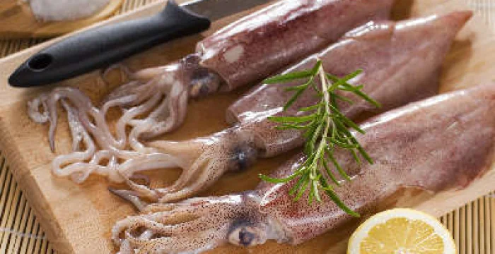 Calamari ripieni al radicchio