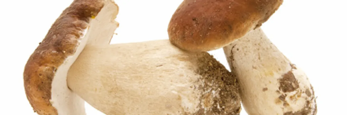 Crema di Porcini e Patate 