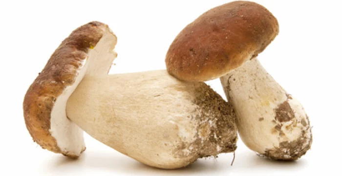 Crema di Porcini e Patate 