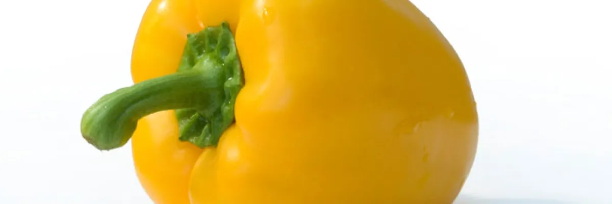 Tagliatelle al peperone giallo