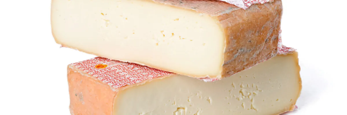 Pennette taleggio e funghi
