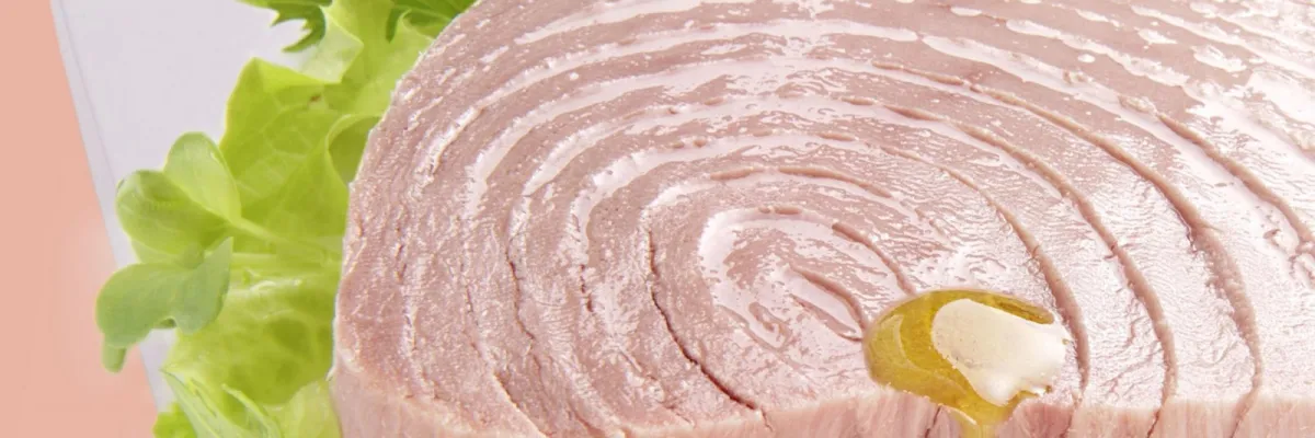 Filetto di Tonno arrosto con salsa al vino bianco
