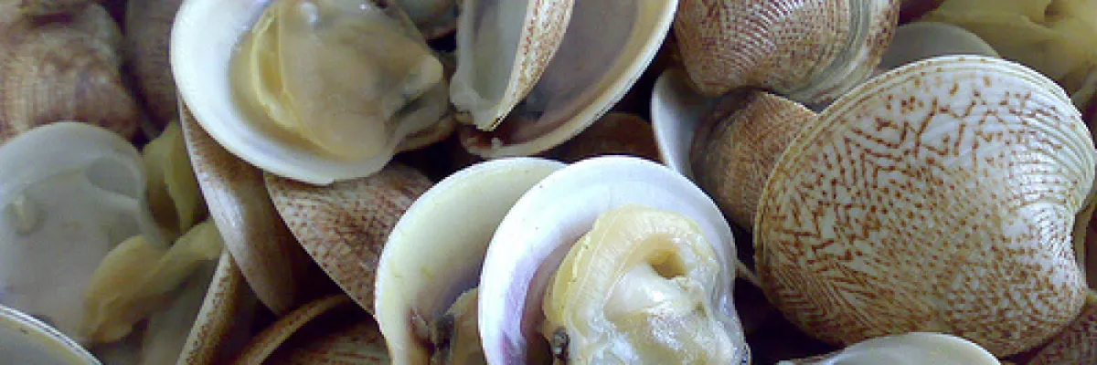 Orecchiette con vongole e cime di rapa