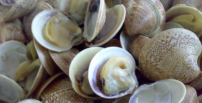 Tortino di broccoli e vongole